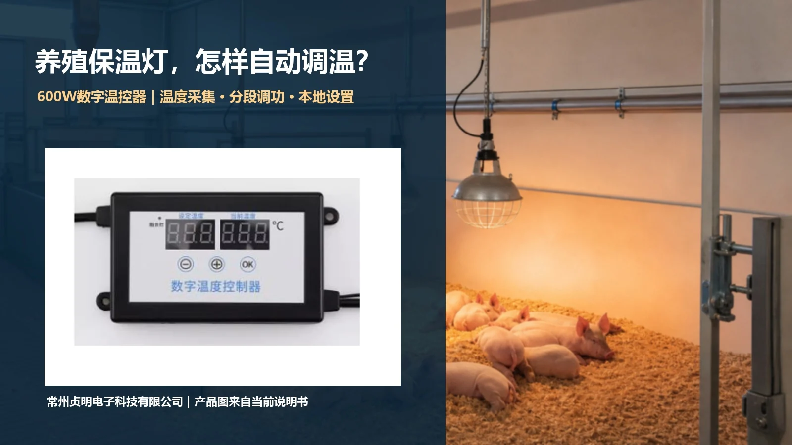 贞明电子养殖保温灯数字温控器方案